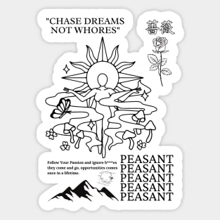 CHASE YOUR DREAMS Sticker